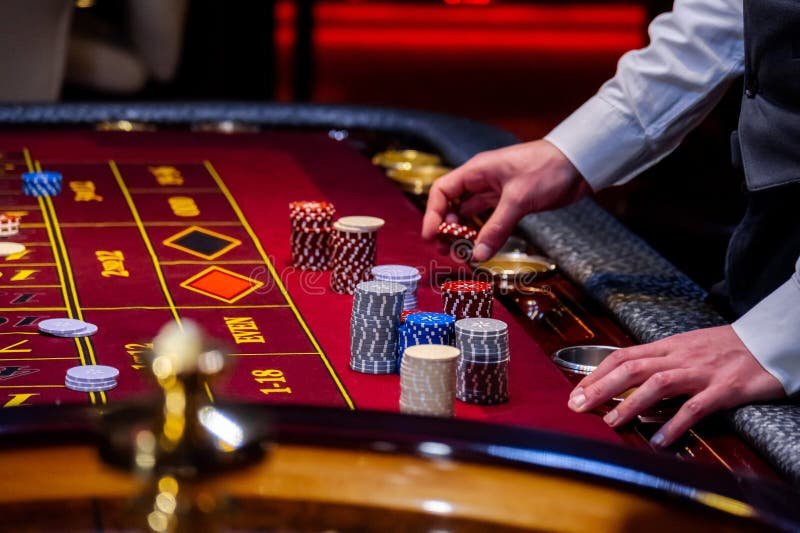 seinl Sportsbook